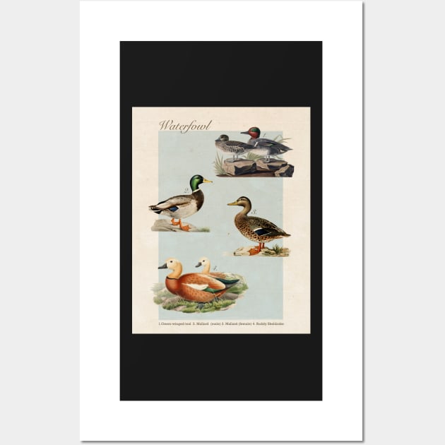 Duck Vintage-Inspired Encyclopedia Page Wall Art by BuckNerdImages